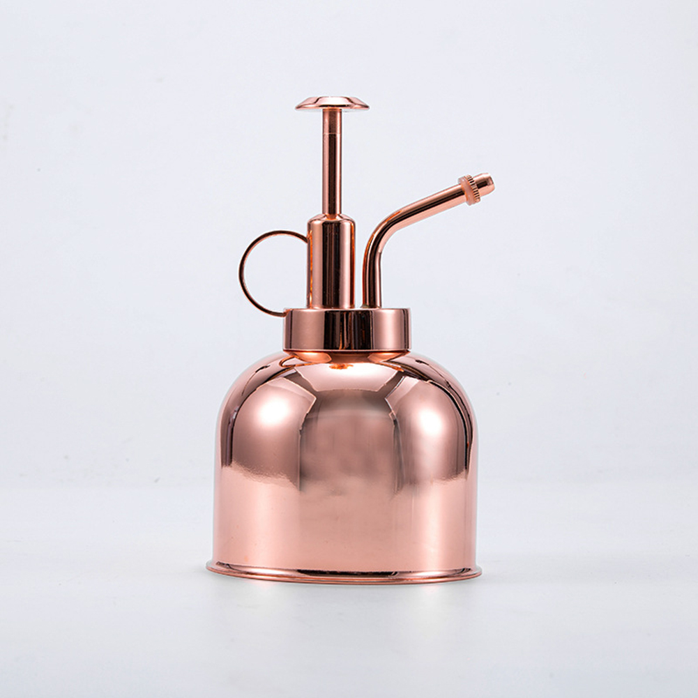 Pflanzensprühflasche 300 Ml, Edelstahl, Gießkanne Für Zimmerpflanzen, Sukkulenten, Bonsai, Gartengeräte, Silber