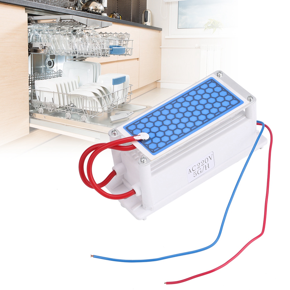 220 V, 5 G/h Tragbarer Keramikplatten-ozongenerator, Ozonisator, Sterilisator, Luft- Und Wasserreiniger
