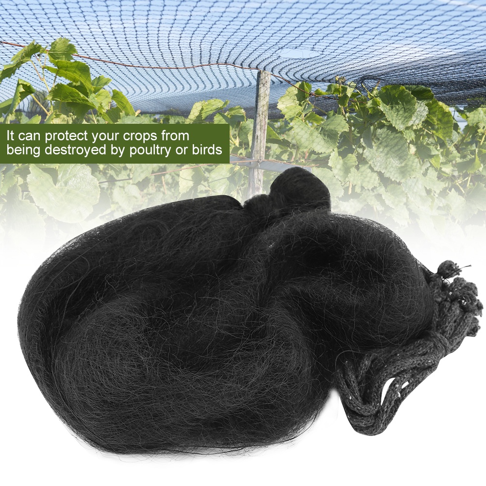 X 12 M Vogelschutznetz Für Garten, Obst Und Gemüse