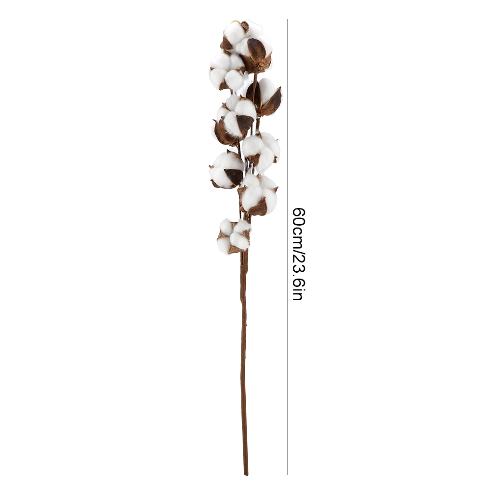 Stück 10 Kapseln Natürlicher Baumwollstängel Kapok Trockenblumen 60 Cm Für Hochzeitsfeiern Und Heimdekoration