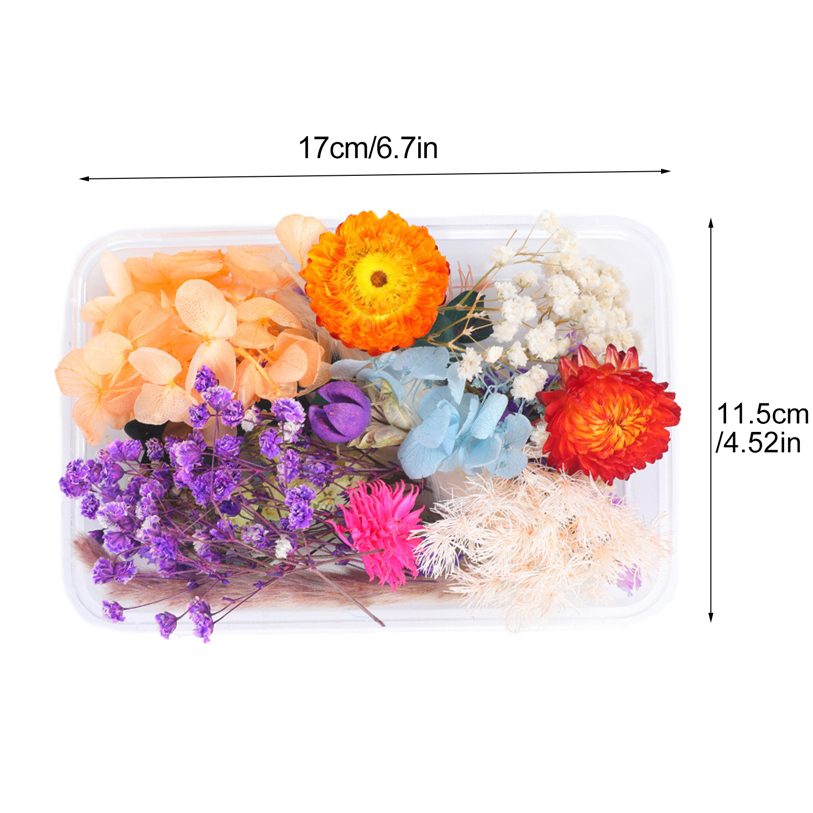 Zufällige Auswahl Von 7-10 Stabilisierten Trockenblumen, Set Mit Natürlich Gepressten Blumen, Echter Trockenblumenstrauß (17x11,5 Cm)