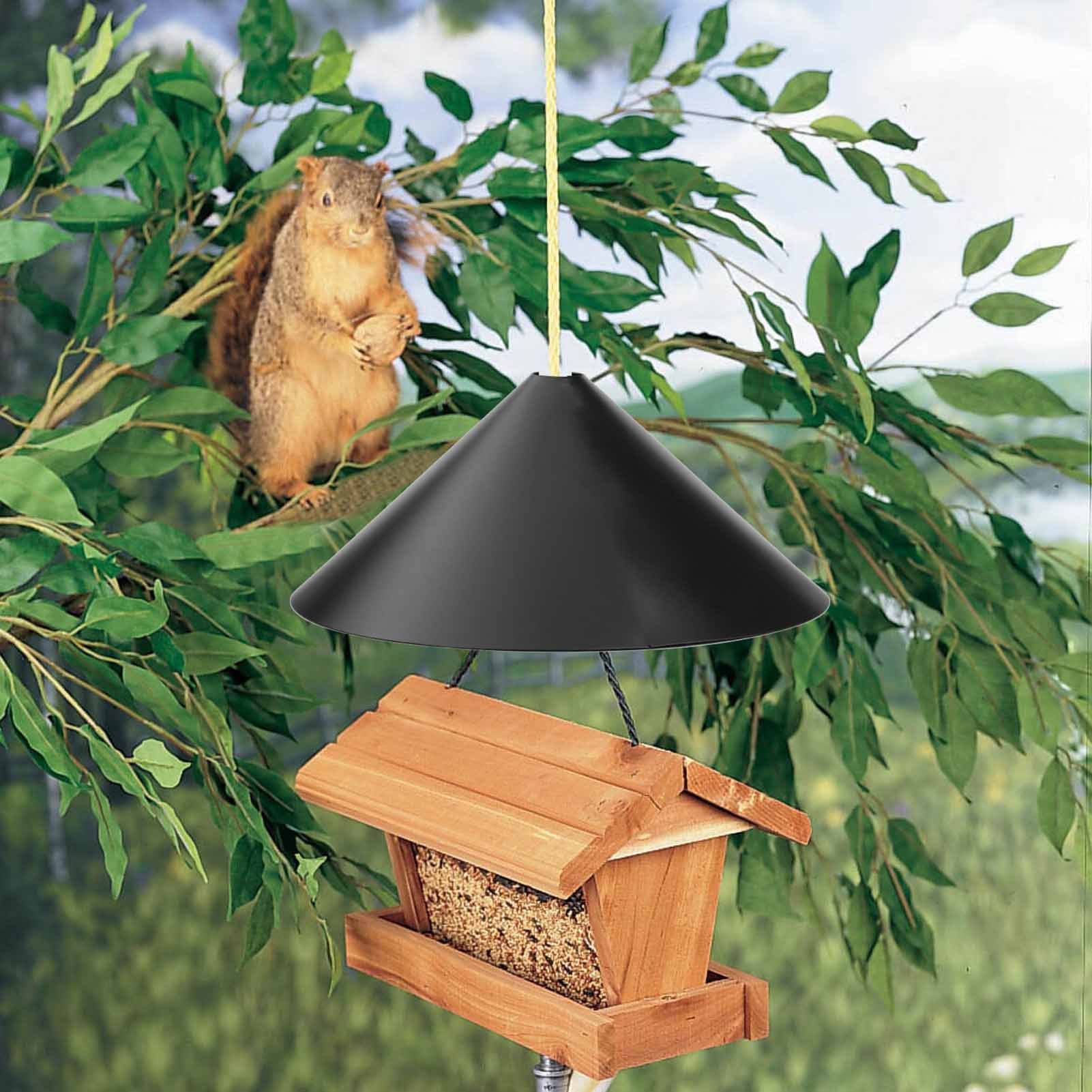 Professioneller, Schwarz Verzinkter, Eichhörnchensicherer Futterspender Aus Stahl, Vogelabwehrbarriere, Schutz Vor Futterdiebstahl