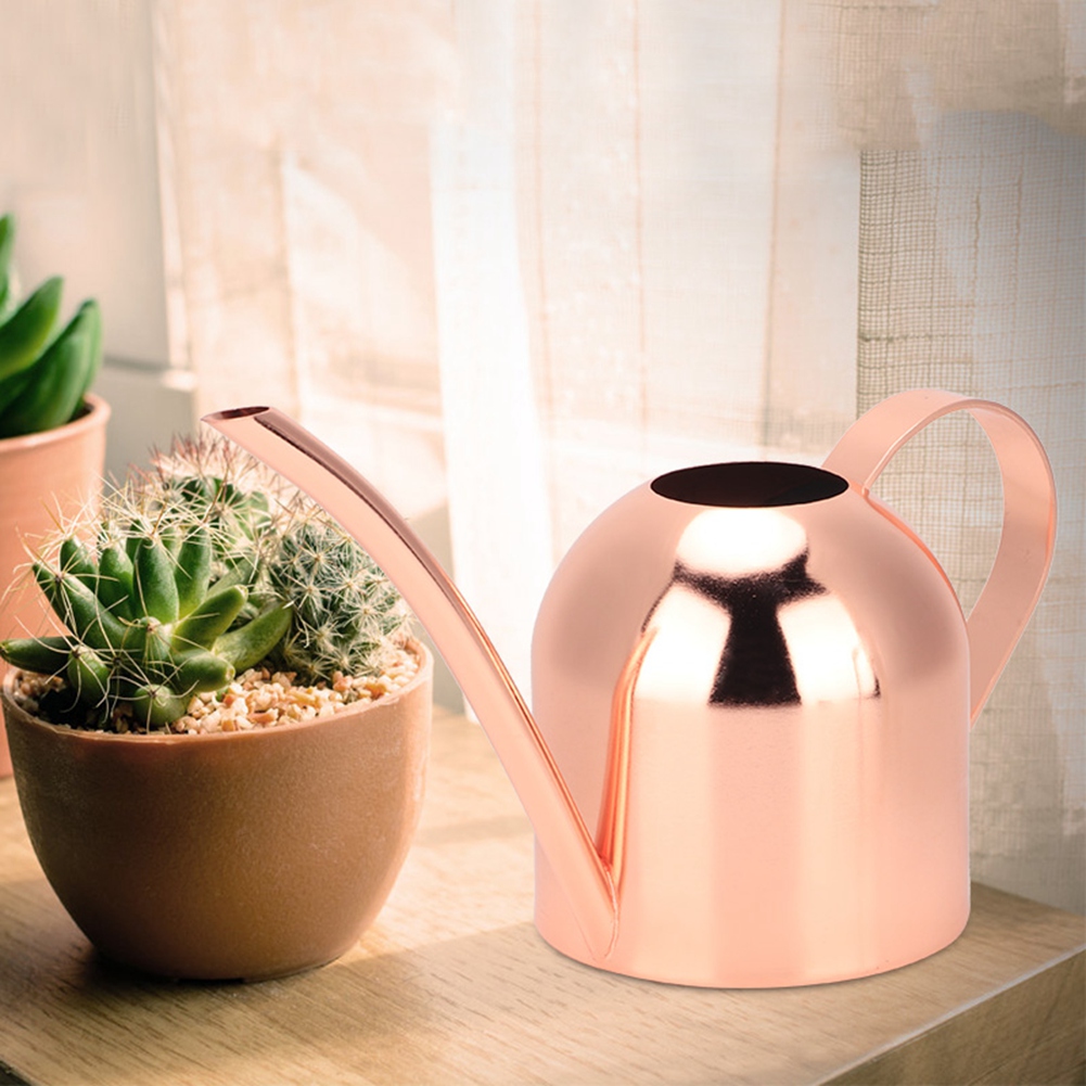 500-ml-gießkanne Aus Edelstahl Mit Langer Öffnung Für Zimmer- Und Gartenpflanzen, Roségold
