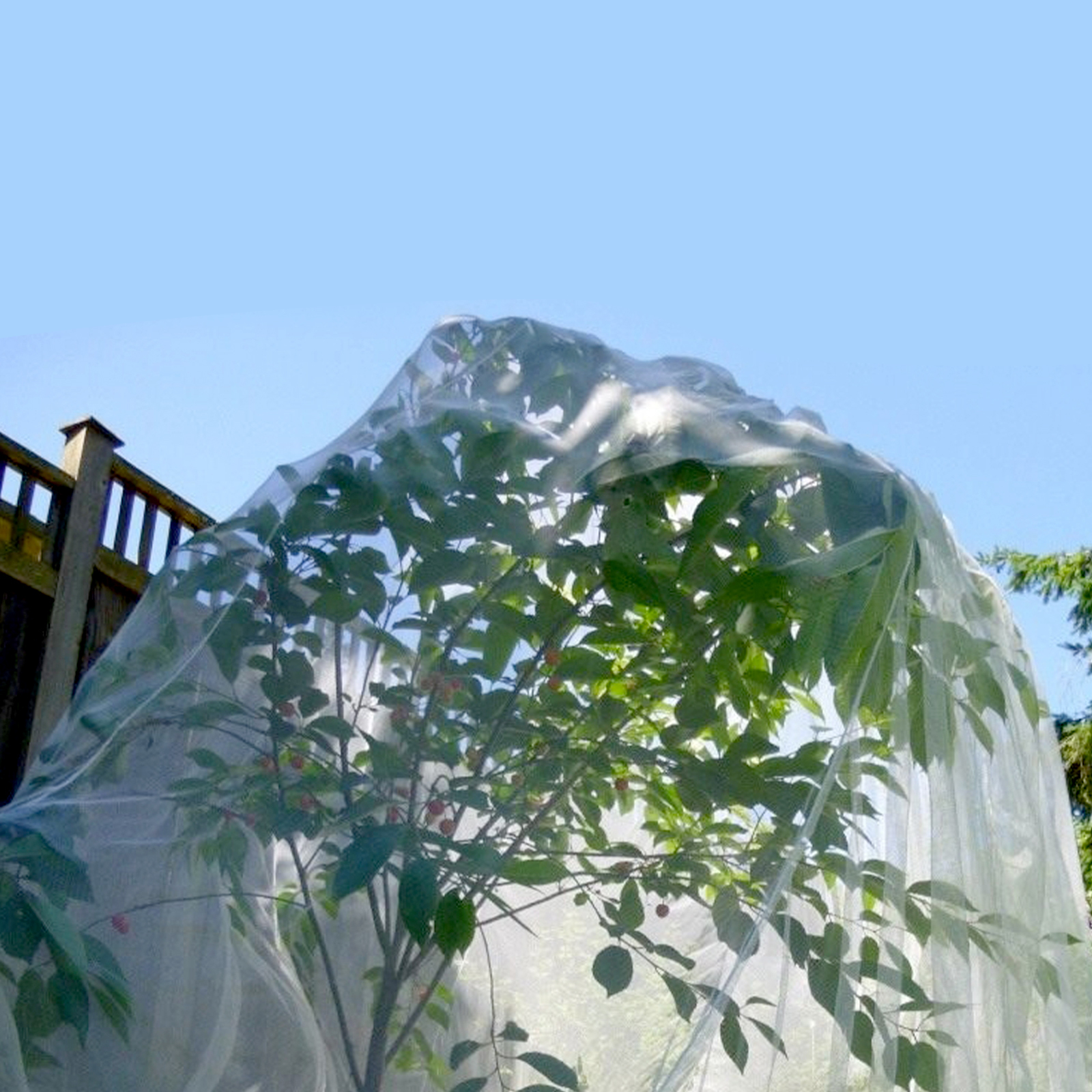 Packung Mit 4 Weißen Insektenschutzbeuteln, Auf Lager, Abmessungen 1,5 M X 1 M.