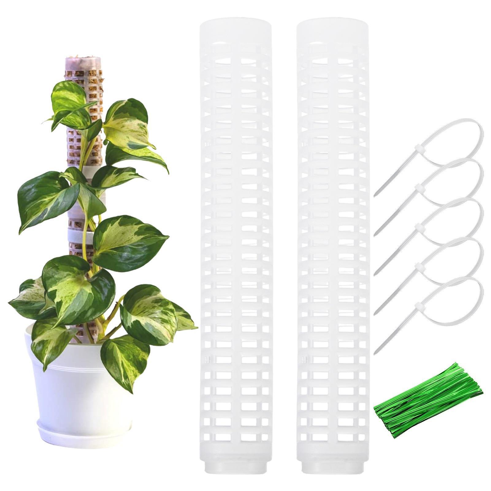 Colonne De Mousse Pour Plantes Grimpantes - Lot De 2 Supports De Croissance Pour Monstera Et Lianes D'Intérieur, Tuteur Jardinage