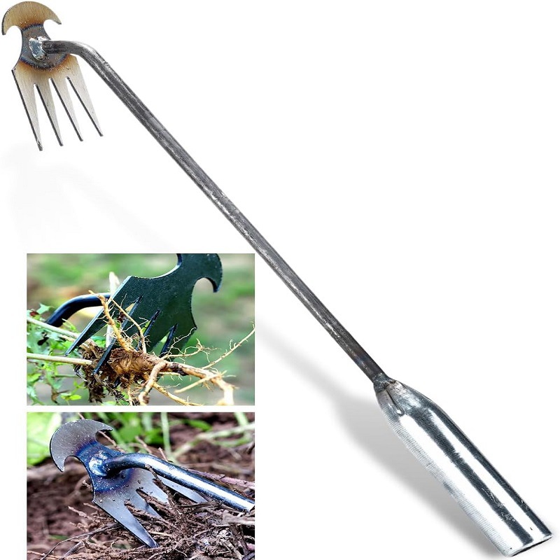 Désherbeur Manuel À 4 Dents En Acier Forgé - Outil De Jardin Solide Pour Arracher Les Mauvaises Herbes Profondes - Longueur 30 Cm