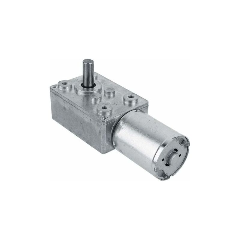 Lablanc – Drehmomentstarker, Reversibler Elektrischer Schneckengetriebemotor, 12 V, 150 U/min, Silber