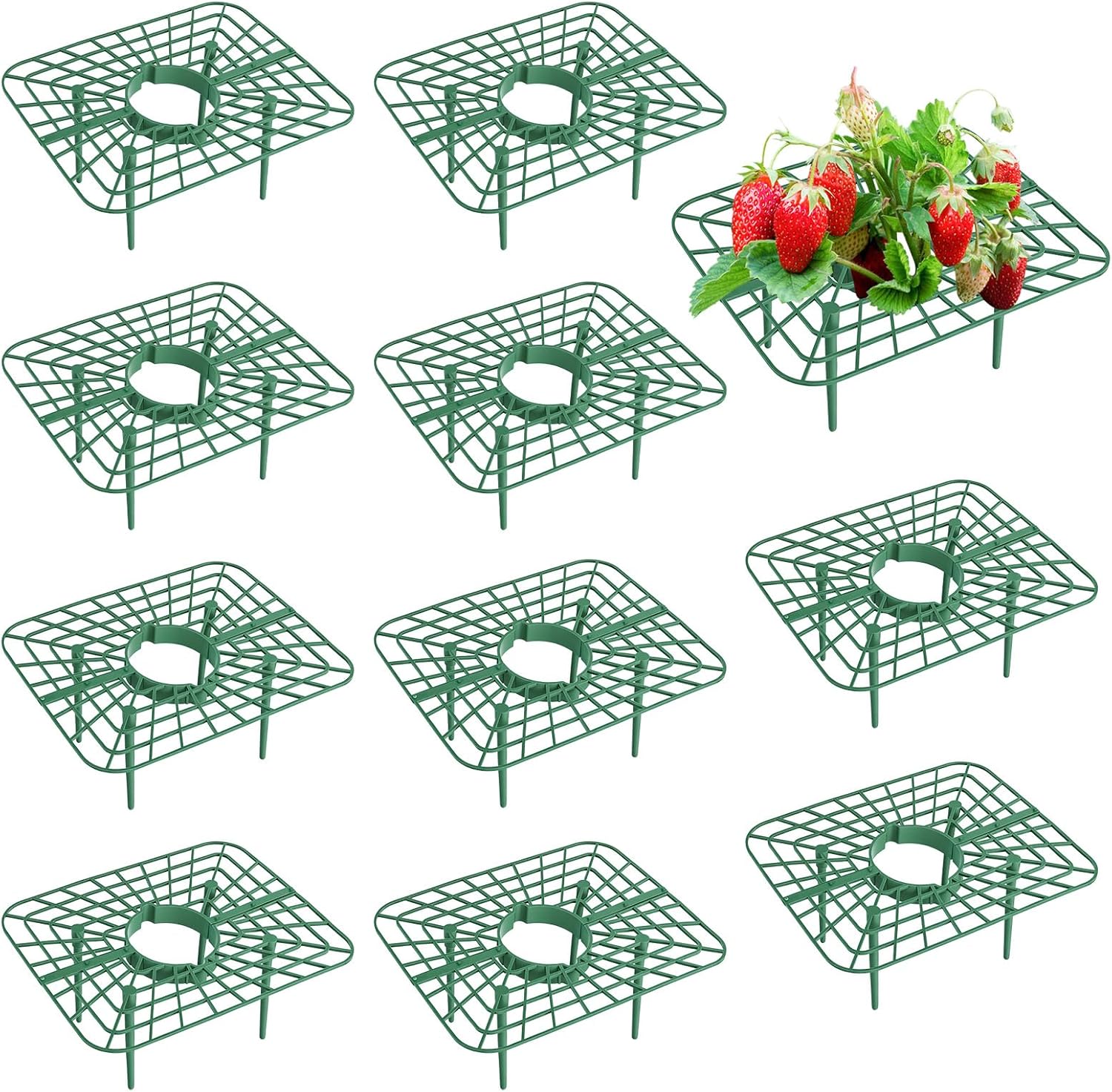Set Mit 10 Quadratischen Erdbeerschutzhüllen – Schutz Vor Schnecken Und Erdbeeren – Gartenaccessoire Gegen Schimmel – Für Topfpflanzen