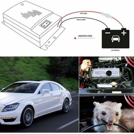 Automatisches Ultraschall-vertreibergerät Für Tiere, Ratten Und Mäuse (2 Stück, 12 V)