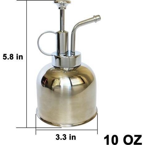 Pflanzensprühflasche Aus Edelstahl – Kleine Gießkanne – Modernes Gartengerät Für Zimmerpflanzen – Zum Bewässern Und Besprühen (glänzendes Silber, 0,3 L)