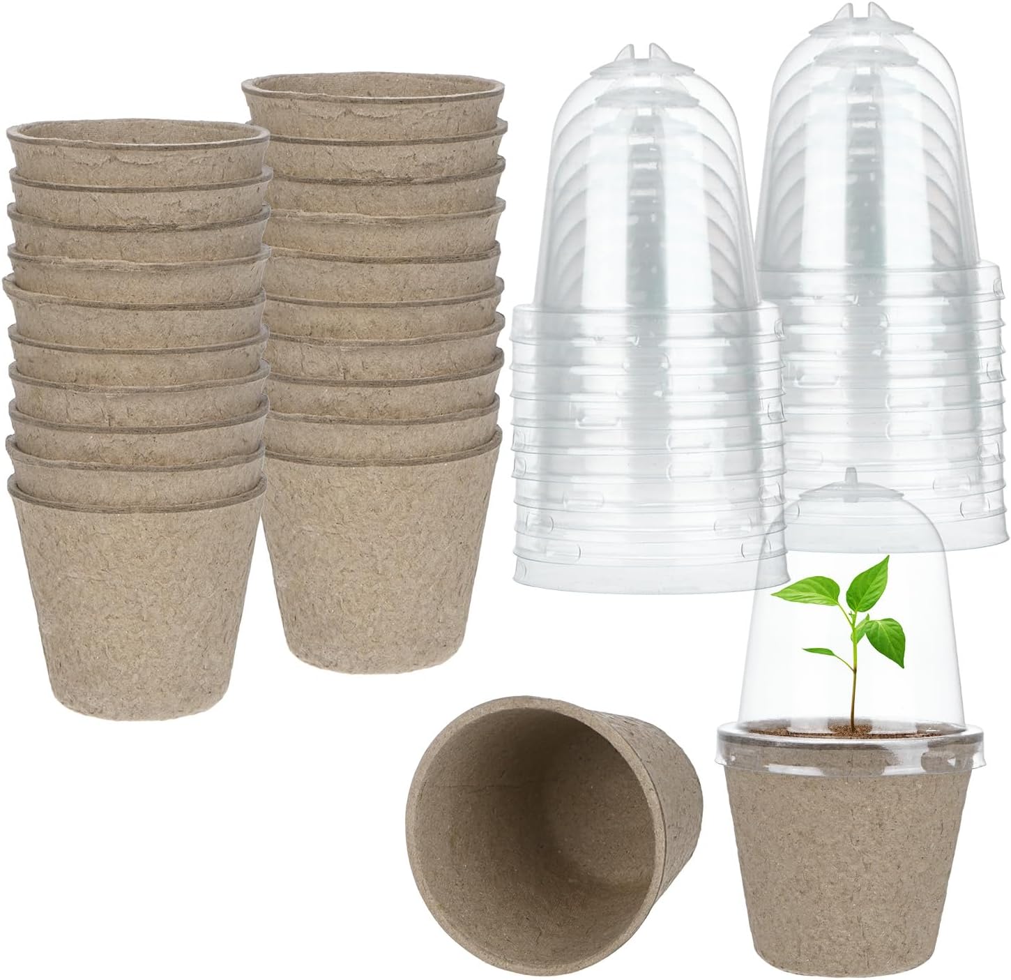 Packung Mit 40 Runden 6,9 Cm Torftöpfen Mit Feuchtigkeitskuppel, Anzuchtschalen Für Saatgut/blumen/gemüse/gartenbedarf [ohne Löcher]