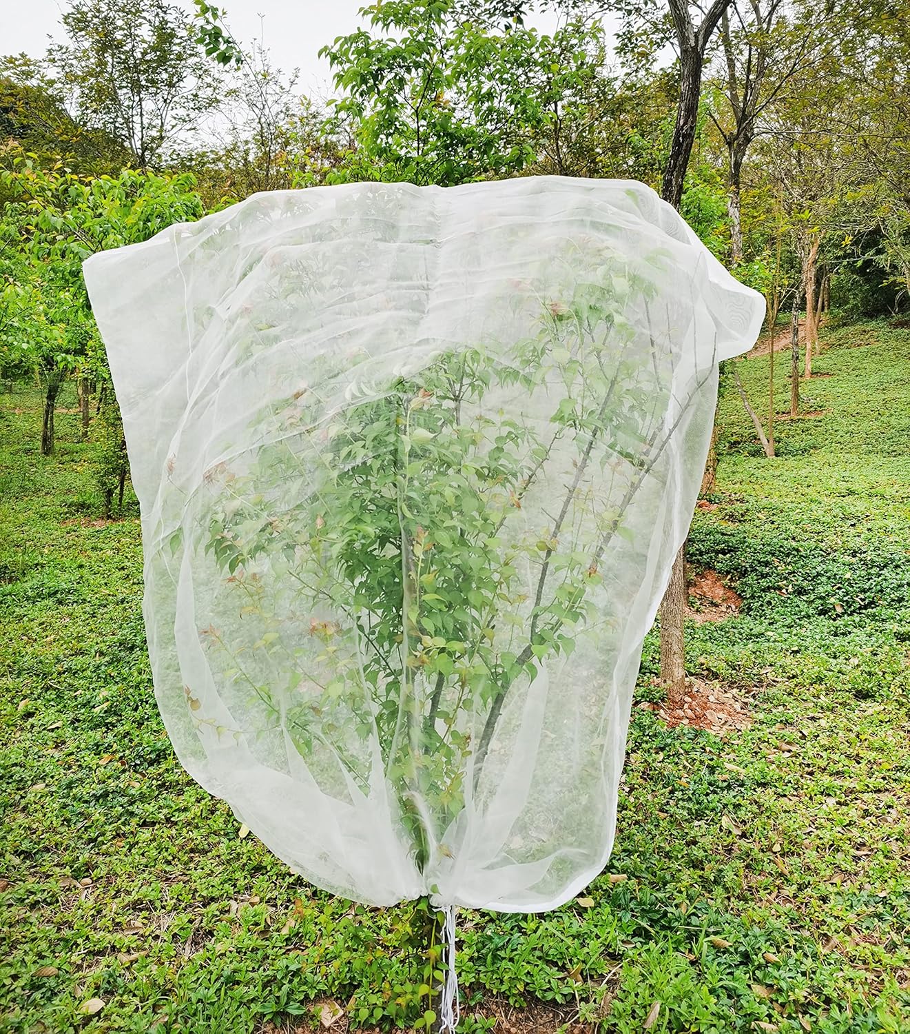 Obstbaumschutznetz 1,8 X 1,8 M – Insekten- Und Vogelsicher Mit Kordelzug – Strapazierfähiges Polyesternetz Für Kirschen/obst