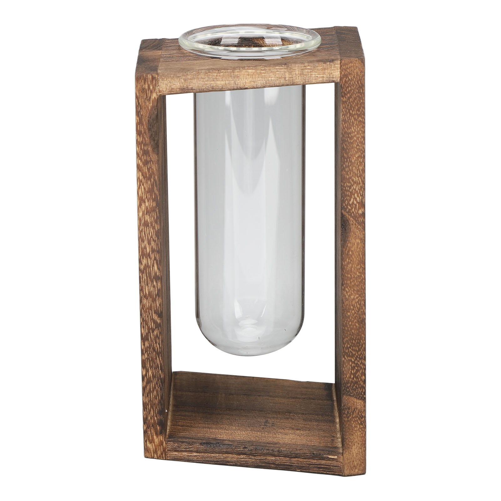 Glas-terrarium Für Pflanzen In Form Eines Reagenzglases. Multifunktionales, Innovatives Und Handgefertigtes Tisch-terrarium Für Hydrokulturpflanzen. Mit Kohlefasergitter.