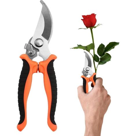 Handschere Aus Gehärtetem Stahl. Schneidet Bis Zu 20 Mm. Ergonomischer, Rutschfester Griff. Für Hartholz Und Weinreben.