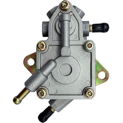 300-cm³-motorradkraftstoffpumpe – Kompatibel Mit Buyang Feishen D300 H300 Jcl Linhai 260 Cm³ – Atv-kraftstoffversorgung – Optimierter Durchfluss