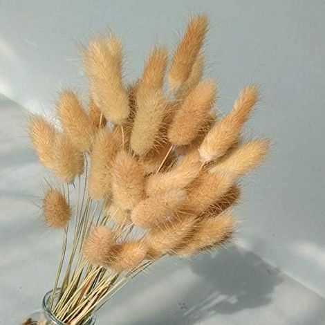 Aiducho Set Mit 50 Trockenblumensträußen – Ewige Trockenblumen – Trockengras – Foto-requisiten – Party Und Hochzeit – Primärfarben