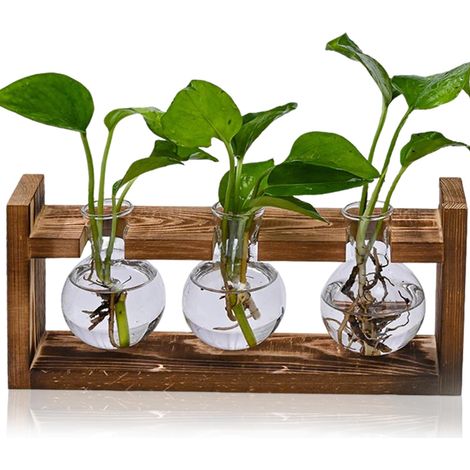 Vermehrungsstation Für Pflanzen, Kletterpflanzenbehälter Mit Holzstruktur, Hydrokultur-vermehrungsvase, Geschenk Für Gartenliebhaber – 3 Blumenzwiebelvasen