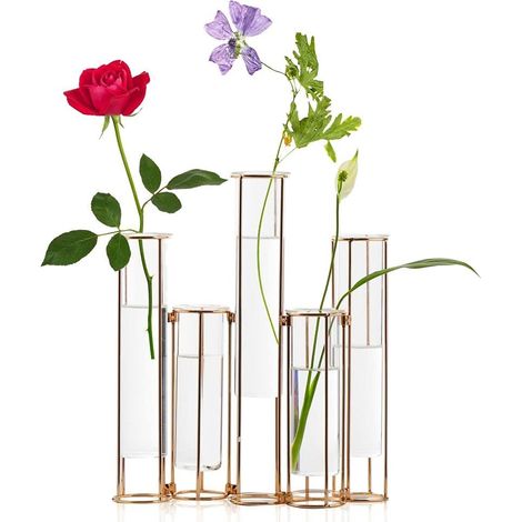 Aiducho Set Aus 5 Blumenreagenzgläsern, Glasvase Mit Metallständer, Hydrokultur-testvase, Goldene Klappvase, Tischdekorationsset