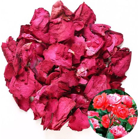 Getrocknete Rote Rosenblätter (großhandel) – Ideal Für Hochzeitsdekoration, Bad, Duschgel, Tee, Backen, Potpourri Und Bastelarbeiten – 60 G