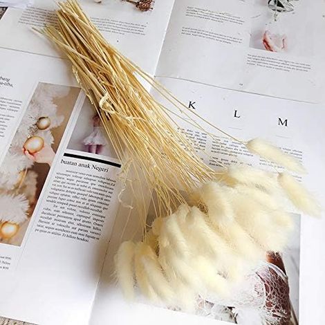 Aiducho 50-teiliges Deko-set: Hasenschwanz-trockengrassträuße, Ewige Blumen, Foto-requisiten Für Zuhause, Partys Und Hochzeiten – Weiß