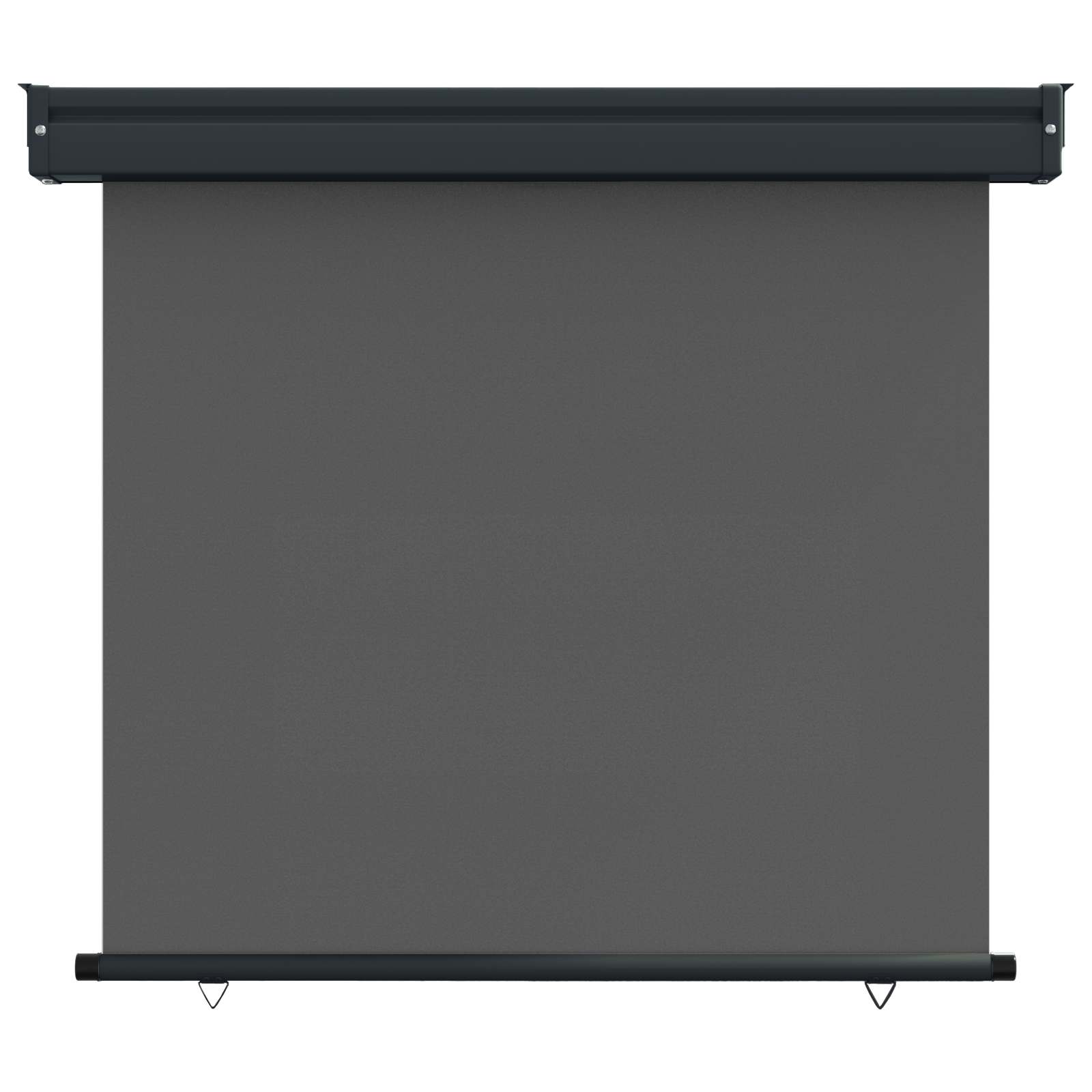 Maison Exclusive - Balkon Seitenmarkise 60 X 250 Cm 100% Polyeste