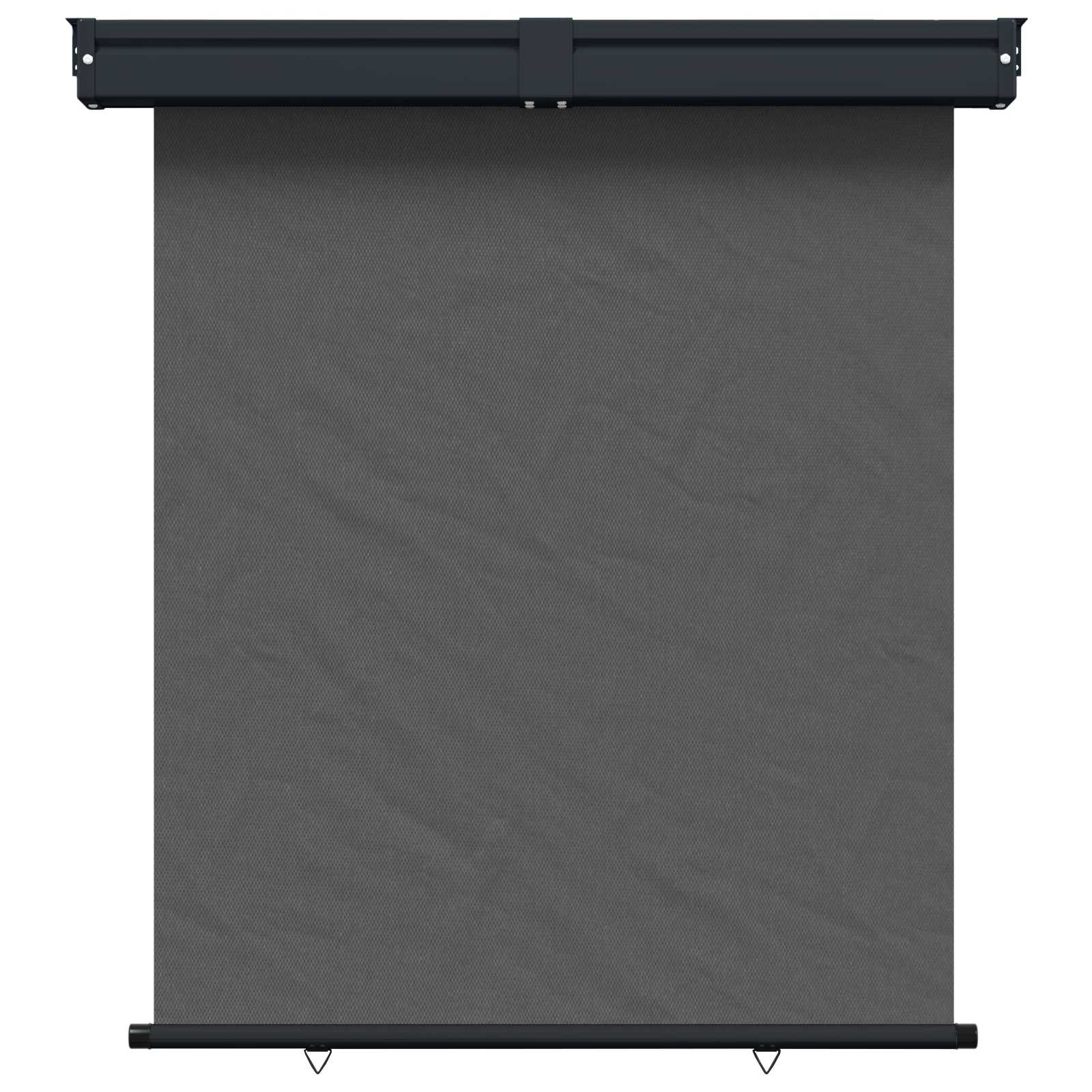Maison Exclusive - Balkon Seitenmarkise 170 X 250 Cm 100% Polyest
