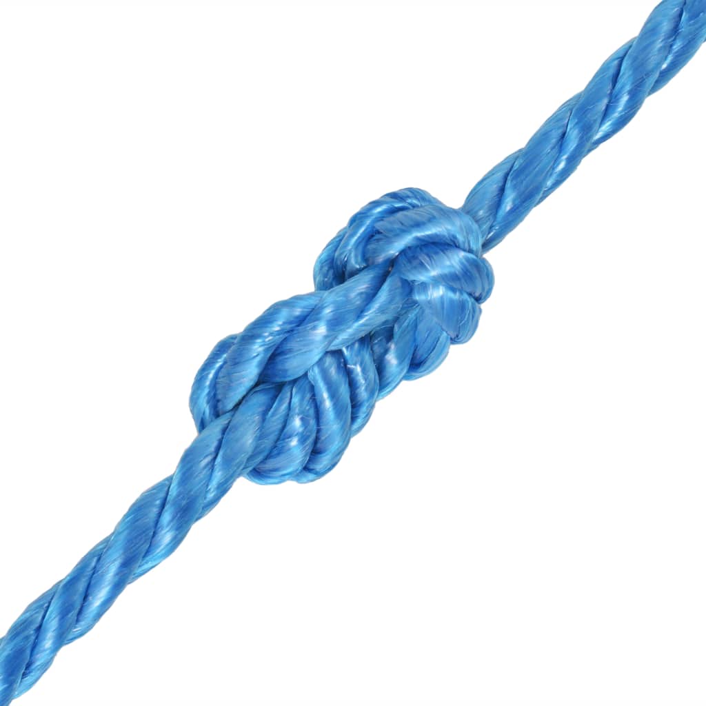 Maison Exclusive - Polypropylenseil 12 Mm 100 M Blau