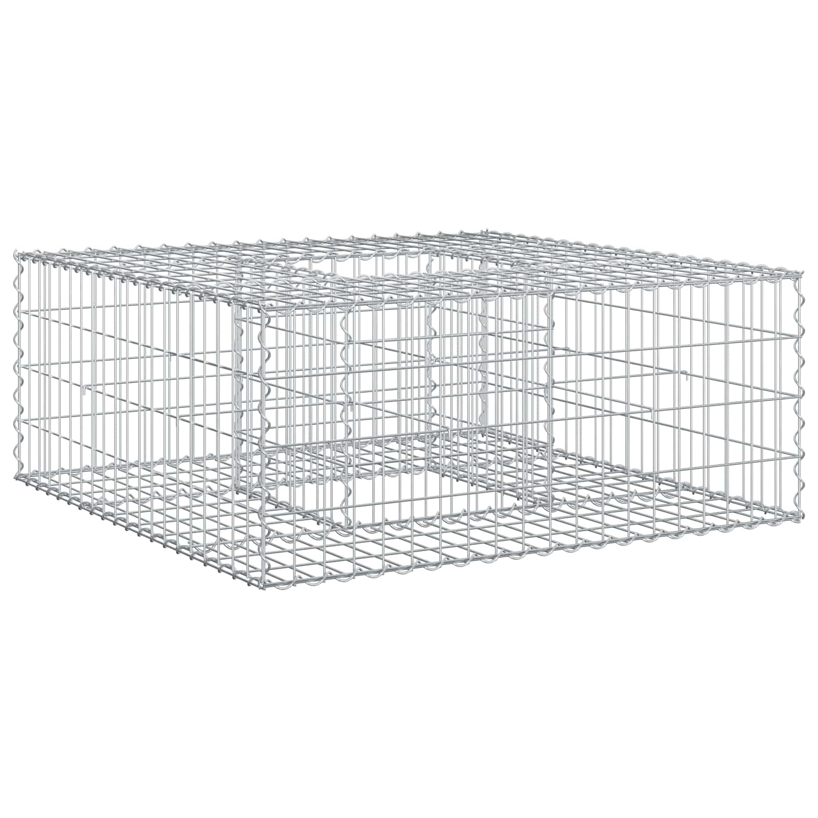 Maison Exclusive - Gabionen Hochbeet 100 X 100 X 40 Cm Verzinkter