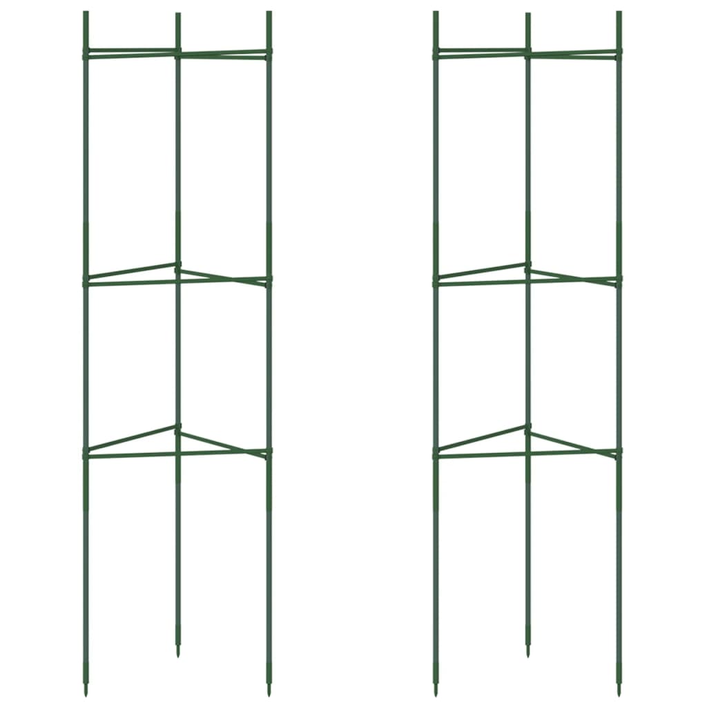 Maison Exclusive - Tomatenkäfig 2 Stk. 116 Cm Stahl Und Pp
