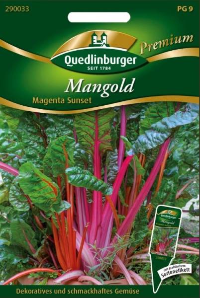 Quedlinburger Mangold Magenta Sunset - Gemüsesamen