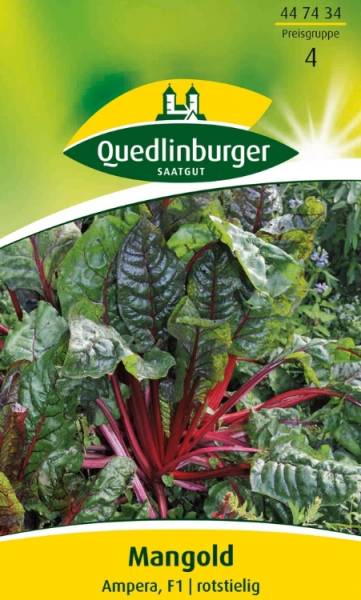 Quedlinburger Mangold Ampera - Gemüsesamen
