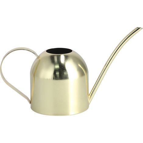 1000 Ml Vintage-gießkanne Aus Edelstahl Für Sukkulenten, Blumen Und Pflanzen – Gold