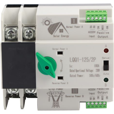 Automatischer 2-poliger Dual-power-umschalter, Millisekundenschaltung, Schnellregler Ac 230 V 100 A Für Haus-pv-anlagen