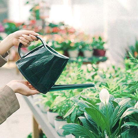 Kleine Gartengießkanne, Modische, Abgedeckte Blumentopf-sprühkanne Mit Langem Ausguss, Bonbonfarben, Für Drinnen, Draußen, Büro, Gartenarbeit, 1,2 L (grün)
