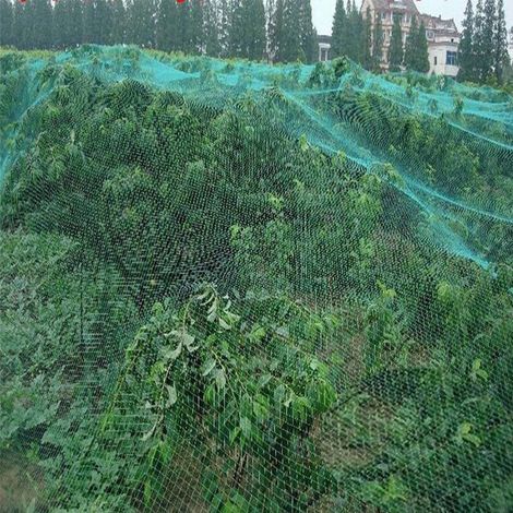 Vogelschutznetz Für Garten, Obstbäume, Gemüse, Pflanzen Und Teich – 4 M X 10 M (2 Stück), Grün (1 Stück/2 Stück/4 Stück)