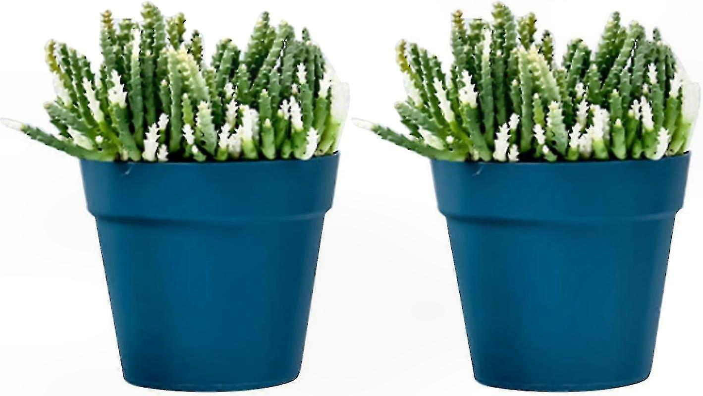Wandmontierte Pflanzgefäße Aus Blauem Und Cremeweißem Kunststoff Für Balkone, Innen- Und Außengärten, Set Aus Wetterfesten Ziertöpfen.