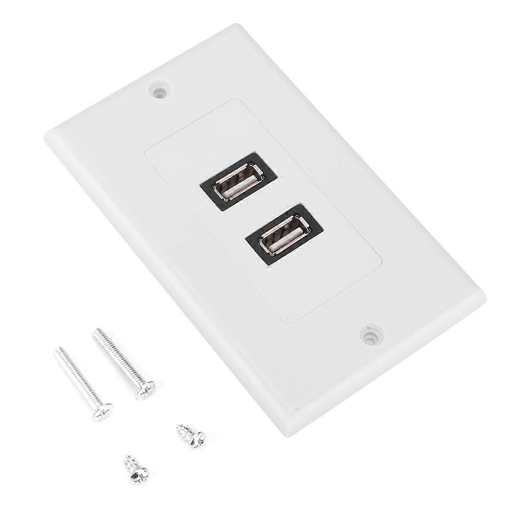 Wandpanel Mit Zwei Usb 2.0-anschlüssen Für Büro, Zuhause, Hotel, Moderne Gebäudedekoration