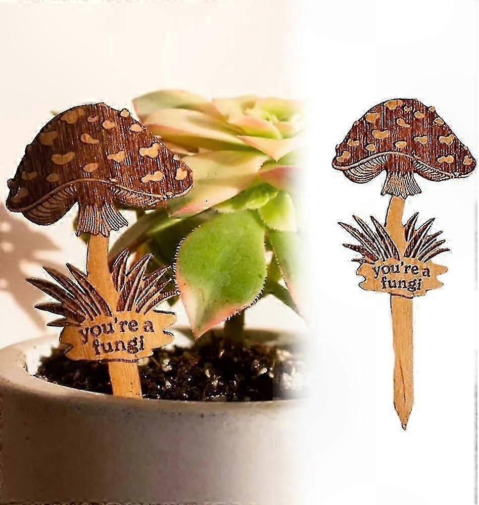 Witzige, Handgefertigte Gartenschilder Aus Holz Für Sukkulenten, Inspirierende Deko-marker, 10 Cm, 6er-set