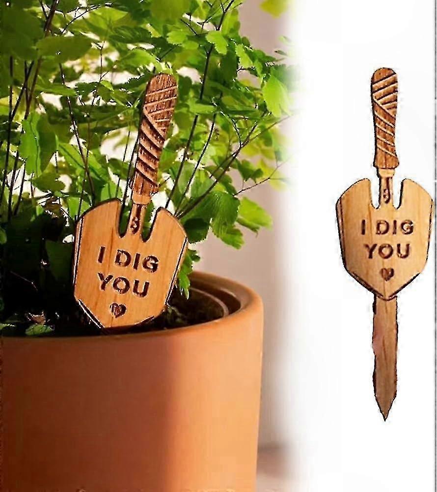 Dekorative, Handgefertigte Holzschilder Für Sukkulenten, Witzige Gartenstecker, Inspirierende Erinnerungen, 10 Cm Hoch, 10er-packung