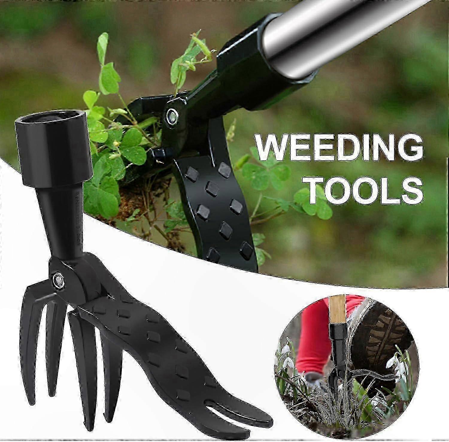 Unkrautstecher Mit Abnehmbarem Griff, Ergonomischer Griff Zum Entfernen Von Wurzeln Und Zur Unkrautbekämpfung.