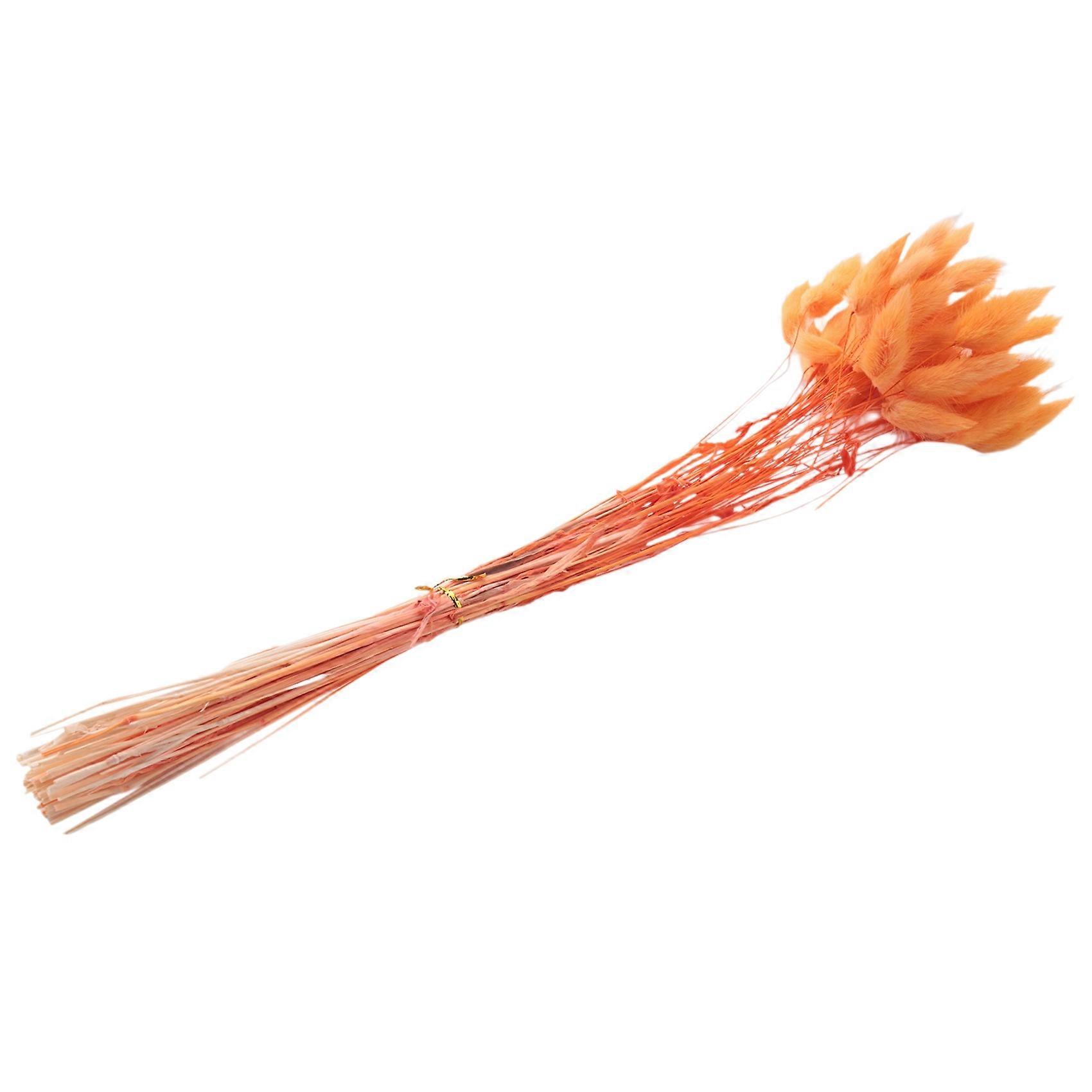 60 Getrocknete Herbstblumen In Form Eines Hasenschwanzes (orange)