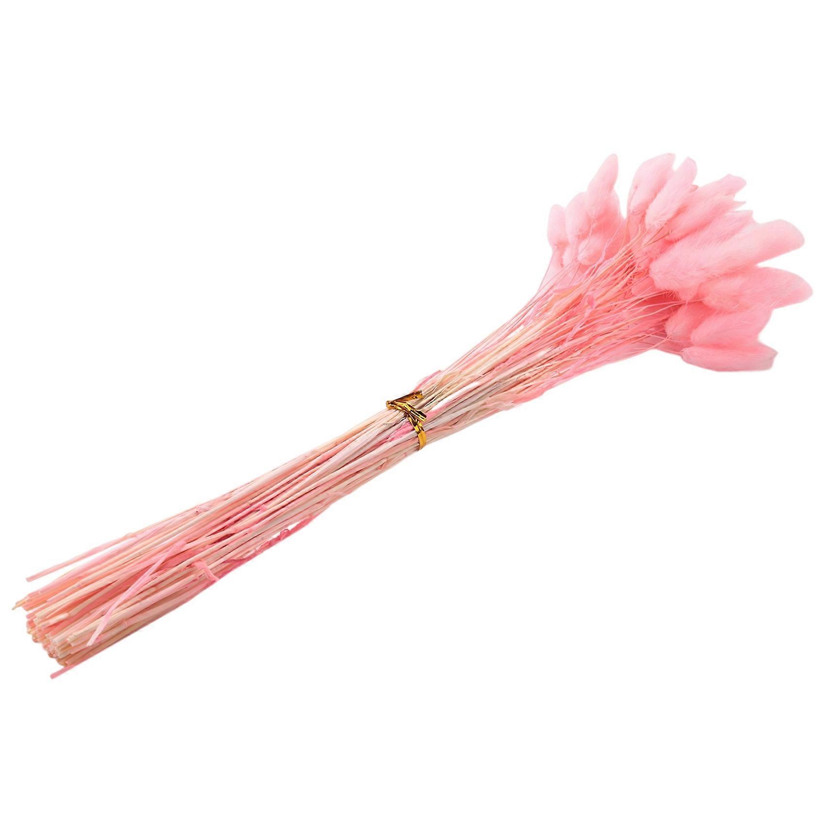 60 Getrocknete Herbstblumen In Form Eines Hasenschwanzes (rosa)