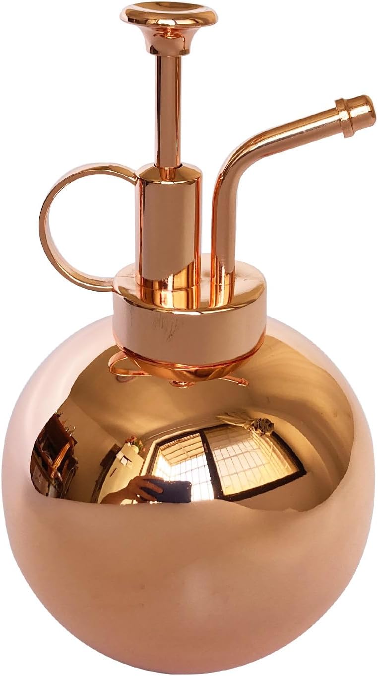 Pflanzensprüher Aus Edelstahl – 1 Stück – Roségold – Feiner, Rostbeständiger Sprühkopf – Für Innenräume Und Gärten – 0,5 L
