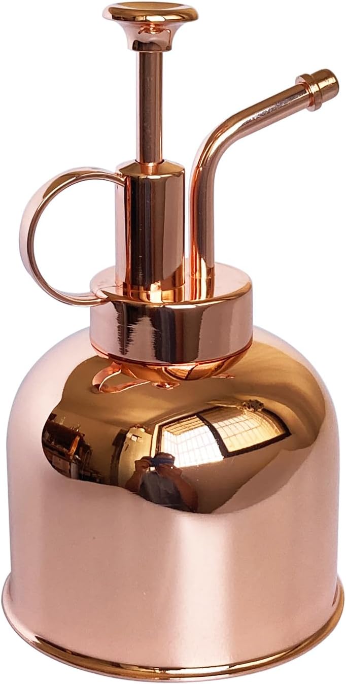 Pflanzensprüher Aus Edelstahl – 1 Stück – Roségoldenes Design – Feiner Sprühnebel – Für Drinnen Und Draußen – 0,3 L