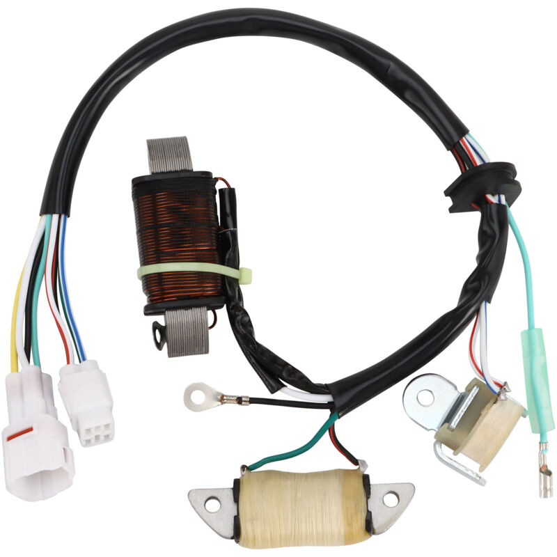 Kompatibel Mit Stator Und Zündspule Der Kinderquads Yamaha Raptor 50 / Raptor 80, Original-teilenummern 4em-85560-10 Und 4em-85560-12