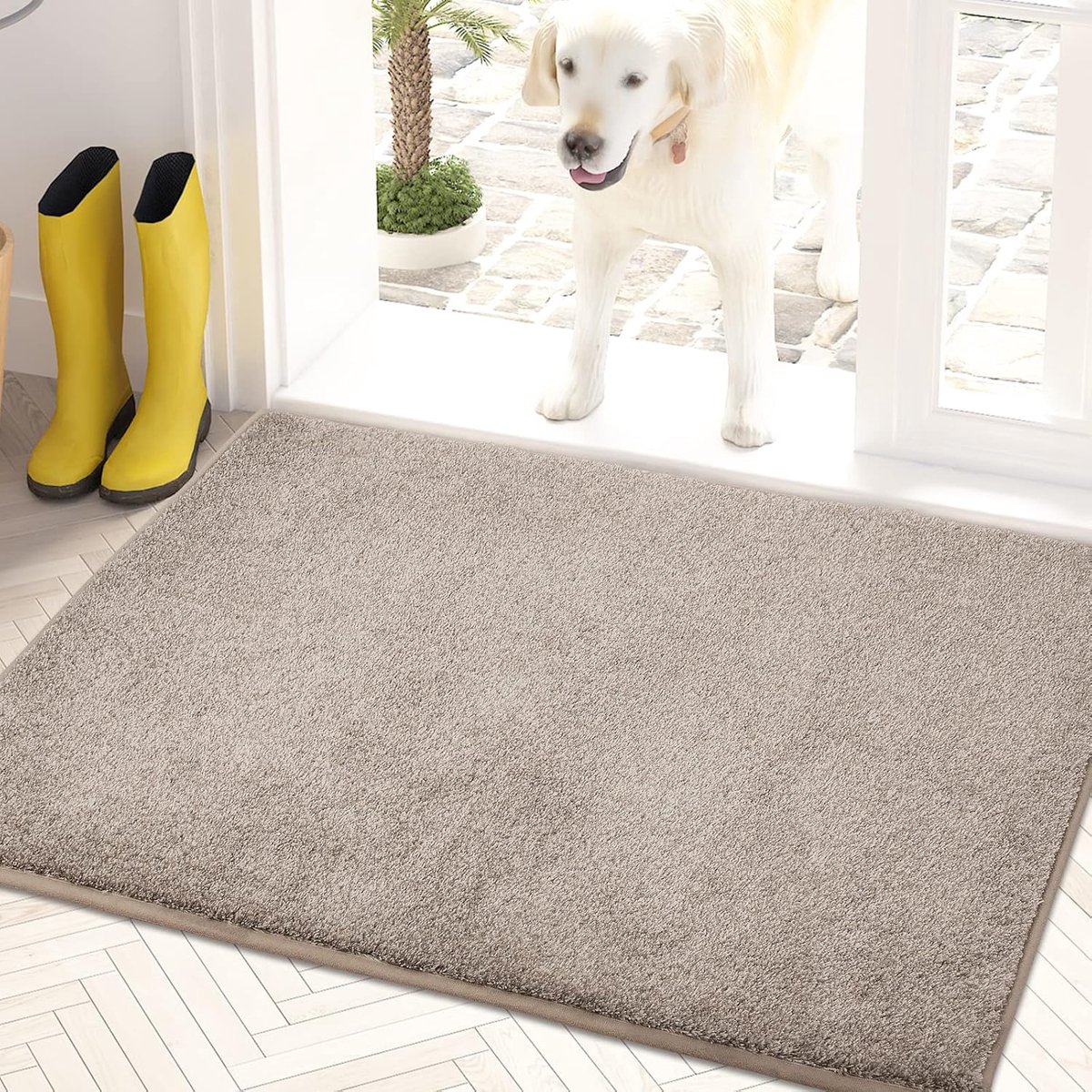 Fußmatte – 61 X 90 Cm – Rutschfest – Maschinenwaschbar – Eingangsmatte, Schuhreiniger, Hundematte, Super Saugfähige Willkommensmatte (für Vorder- Und Hintertür, Küche Und Bad) – Schmutzige Schuhe Und