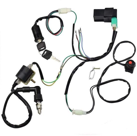 Generalüberholter Zündsatz Mit Kabelbaum, Cdi Und Zündkerze Für 50ccm, 70ccm, 90ccm, 110ccm, 125ccm Und 140ccm Atv, Quad, Buggy Und Go-kart