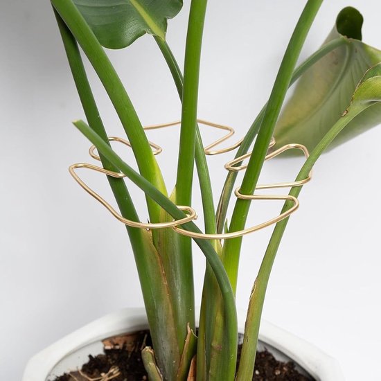 Pflanzenstützen Pflanzenhalter Stabiles Wachstum Monstera Blatt Design 4 Stück Gold