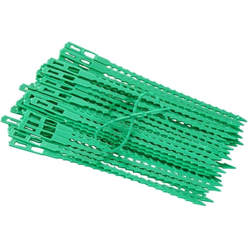 Verstellbare Kabelbinder Aus Kunststoff Für Pflanzen, 50 Stück, Wiederverwendbare Befestigungselemente Für Drahtschlaufen Im Garten (23 Cm)
