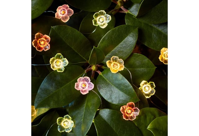 20er Micro Lichterkette außen bunte Rosen